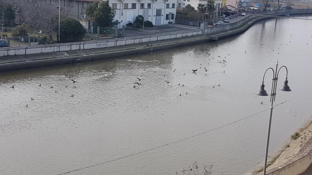 Palazzo Spada - Attico Con Terrazza Vista Fiume In Centro Codigoro Εξωτερικό φωτογραφία