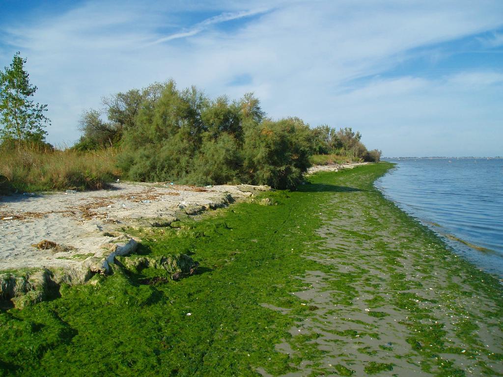 Palazzo Spada - Attico Con Terrazza Vista Fiume In Centro Codigoro Εξωτερικό φωτογραφία